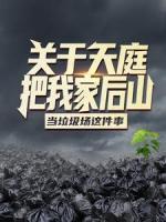 關(guān)于天庭把我家后山當垃圾場這件事