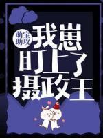 萌寶助攻：我崽盯上了攝政王
