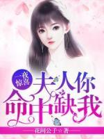 一夜驚喜：夫人，你命中缺我