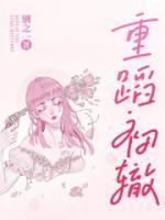 重蹈初轍