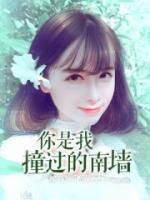 你是我撞過的南墻