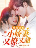 替嫁成婚：小嬌妻又撩又甜