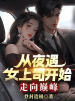從夜遇女上司開(kāi)始，走向巔峰