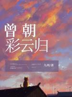曾照彩云歸