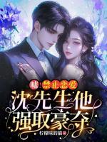 噓！禁止戀愛，沈先生他強取豪奪