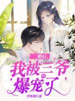 【二婚后】我被三爺爆寵了