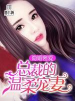 隱婚密愛：總裁的溫柔寵妻