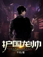護(hù)國龍帥