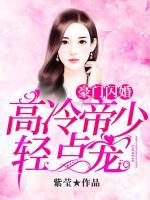 豪門閃婚：高冷帝少輕點寵