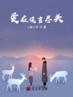 愛(ài)在謊言盡頭