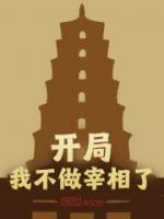 開局我不做宰相了