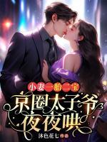 小妻一胎二寶，京圈太子爺夜夜哄