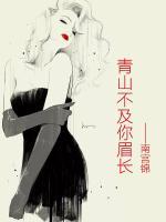 青山不及你眉長