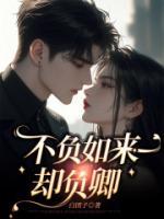 不負(fù)如來(lái)卻負(fù)卿