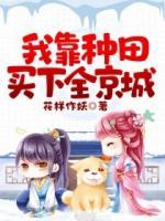 我靠種田買(mǎi)下全京城
