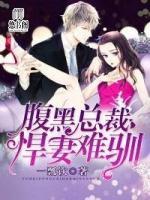 腹黑總裁：悍妻難馴