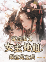 穿成虐文女主她姐，姐穩(wěn)定發(fā)瘋