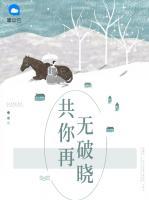 共你再無破曉