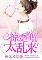 名門盛寵：掠愛首席太亂來