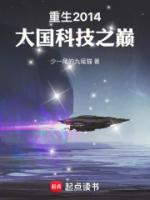 重生2014：大國科技之巔