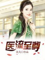 醫(yī)流至尊