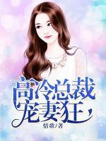 高冷總裁寵妻狂