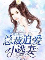 攜寶出擊：總裁追愛(ài)小逃妻