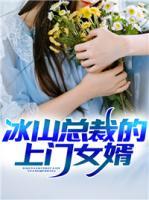 冰山總裁的上門(mén)女婿