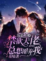 勾惹上癮：禁欲大佬總想圈養(yǎng)我