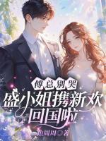 傅總別哭，盛小姐攜新歡回國啦