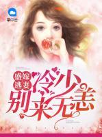 盛嫁逃妻：冷少別來無恙