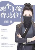 那個(gè)小偷，你站??！