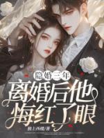 隱婚三年，離婚后他悔紅了眼