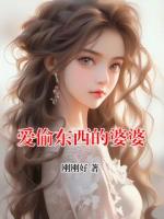 愛(ài)偷東西的婆婆