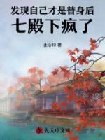 發(fā)現自己才是替身后七殿下瘋了