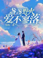 盞盞野火愛(ài)不寥落