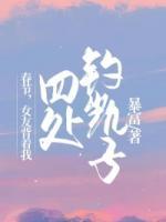 春節(jié)，女友背著我四處釣凱子