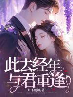此去經(jīng)年，與君重逢