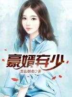 豪婿棄少