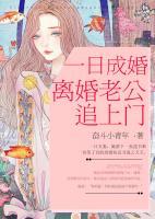 一日成婚，離婚老公追上門