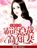 先婚后愛：霸道總裁高知妻