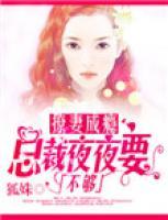 撩妻成癮：總裁夜夜要不夠