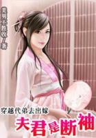 穿越代弟去出嫁：夫君是斷袖