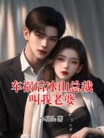 車禍后冰山總裁叫我老婆