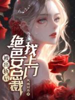 被出軌后，絕色女總裁找上門