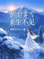 朝陽霽雪，來生不見