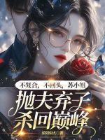 不復(fù)合，不回頭，蘇小姐拋夫棄子殺回巔峰