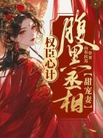 權(quán)臣心計(jì)：腹黑丞相甜寵妻