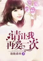 請讓我再愛一次