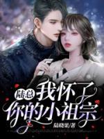 陸總，我懷了你的小祖宗